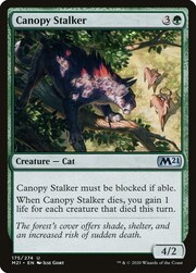 Canopy Stalker