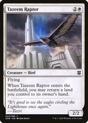 Tazeem Raptor