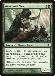 Woodland Sleuth