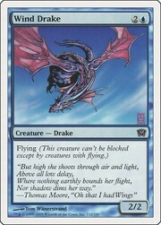 Wind Drake