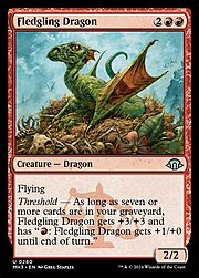 Fledgling Dragon