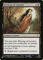 Blessing of Leeches