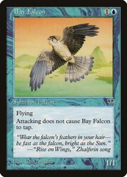 Bay Falcon