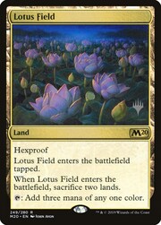 Lotus Field