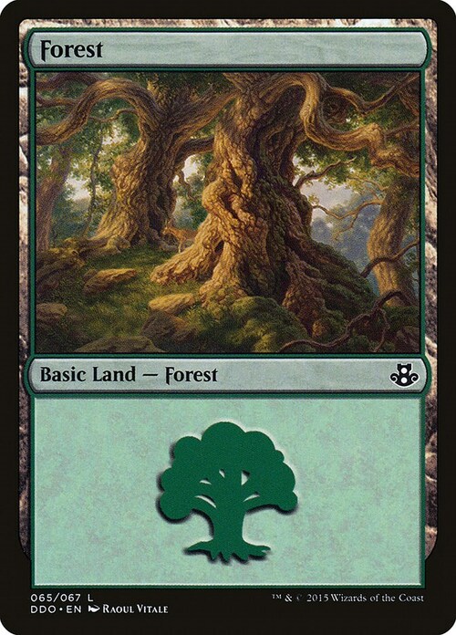 Forest Card Front