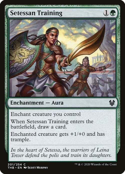 Setessan Training Card Front