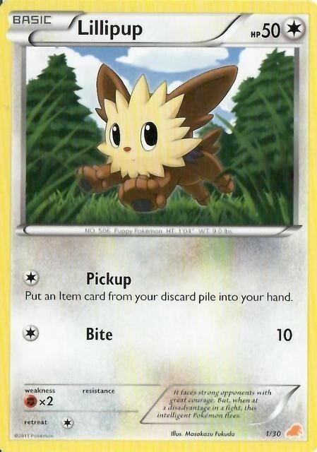 Lillipup Card Front