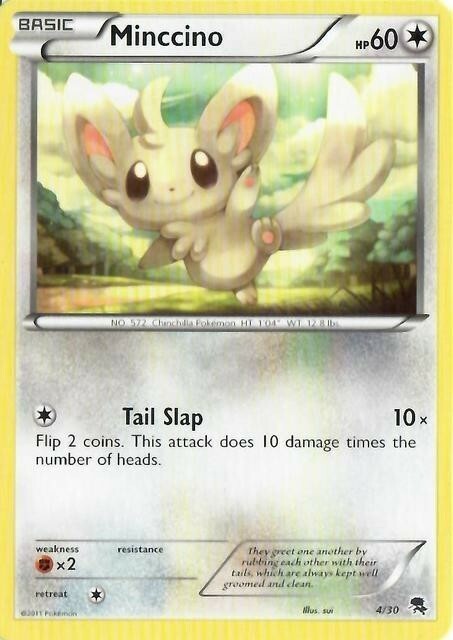 Minccino Card Front