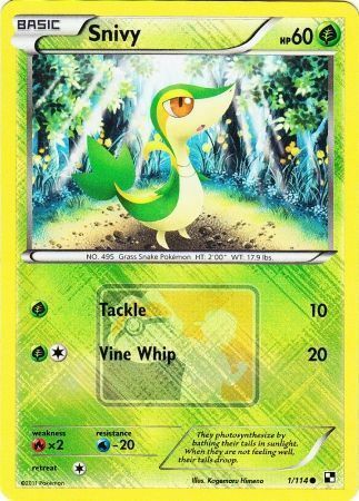 Snivy Card Front