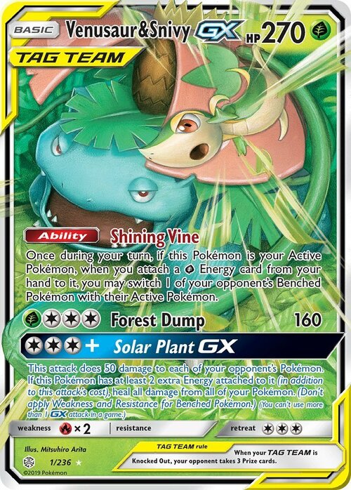 Venusaur & Snivy GX Card Front