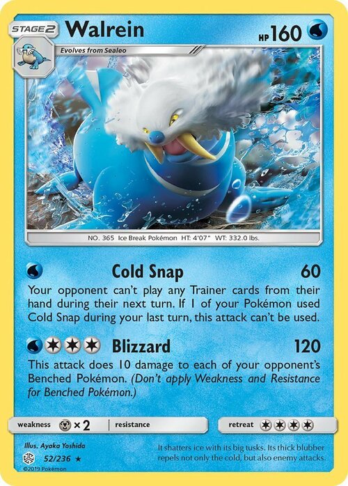 Walrein Card Front