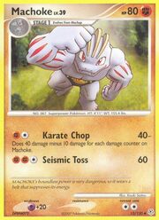 Machoke Lv.39