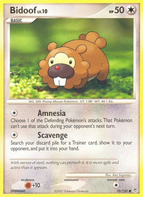 Bidoof Lv.10 Card Front