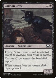 Carrion Crow