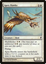 Apex Hawks