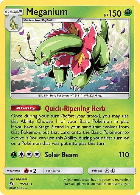 Meganium Card Front