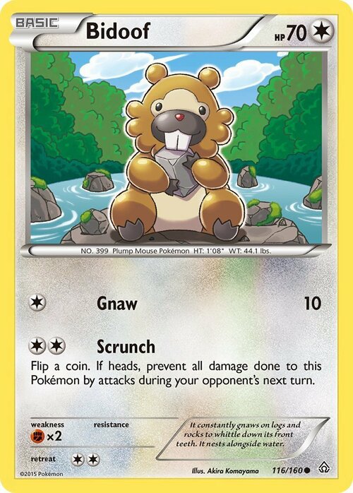 Bidoof Card Front