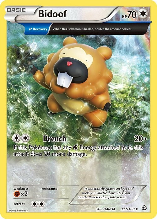 Bidoof Card Front