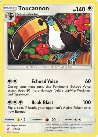 Toucannon Card Front