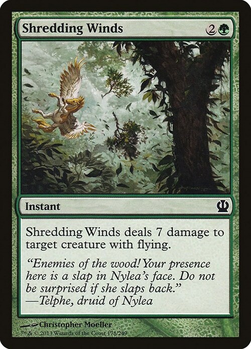 Shredding Winds Card Front