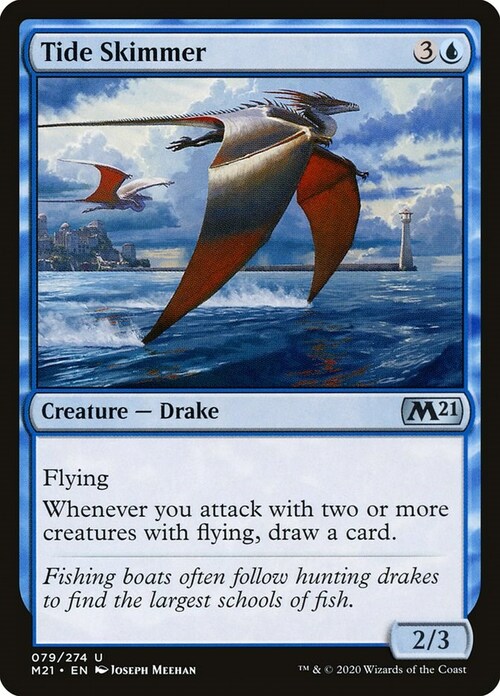 Tide Skimmer Card Front