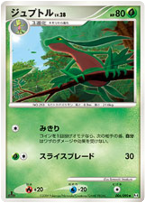 Grovyle Card Front