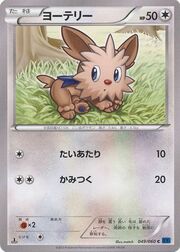 Lillipup