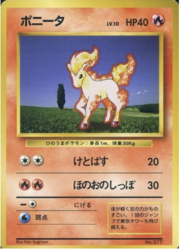 Ponyta