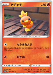 Torchic