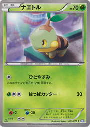 Turtwig