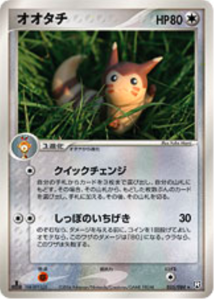 Furret Card Front