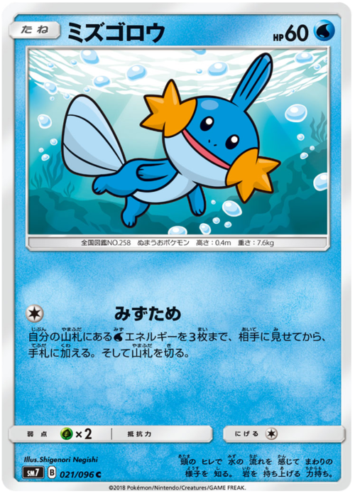 Mudkip Card Front