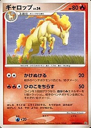 Rapidash Lv.34