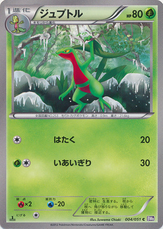 Grovyle Card Front