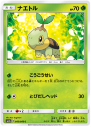 Turtwig