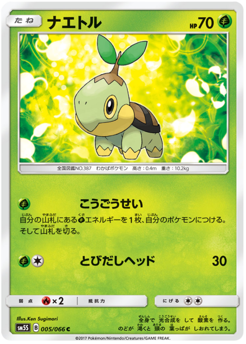 Turtwig Card Front