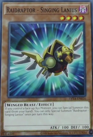 Raidraptor - Singing Lanius Card Front