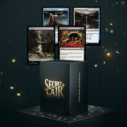 Secret Lair Drop Series: Artist Series | Seb McKinnon