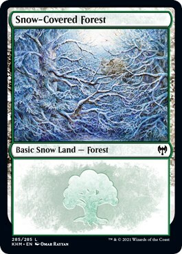 Snow-Covered Forest Card Front