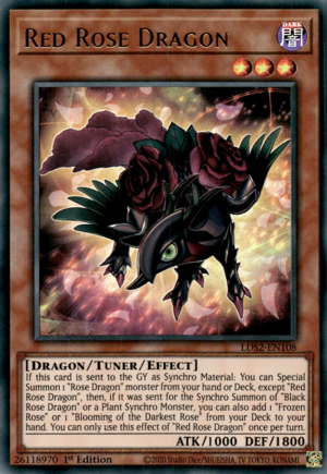 Red Rose Dragon Card Front