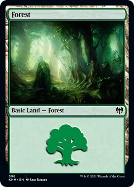 Forest Card Front