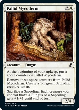 Pallid Mycoderm Card Front