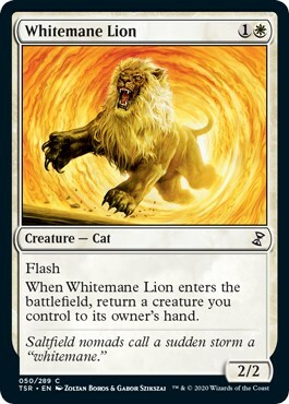 Whitemane Lion Card Front