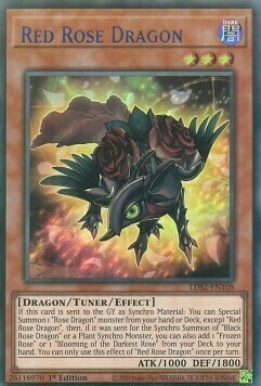 Red Rose Dragon Card Front