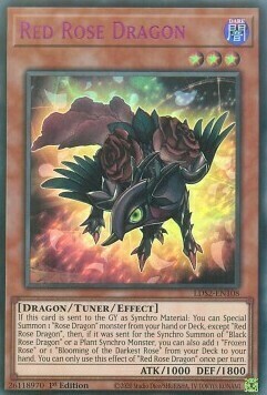 Red Rose Dragon Card Front