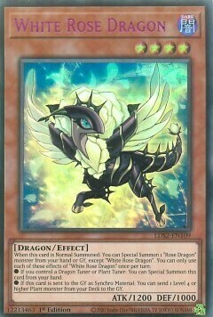 White Rose Dragon Card Front