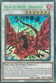 Black Rose Dragon