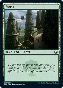 Forest Card Front