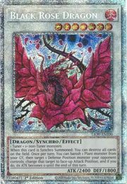 Black Rose Dragon