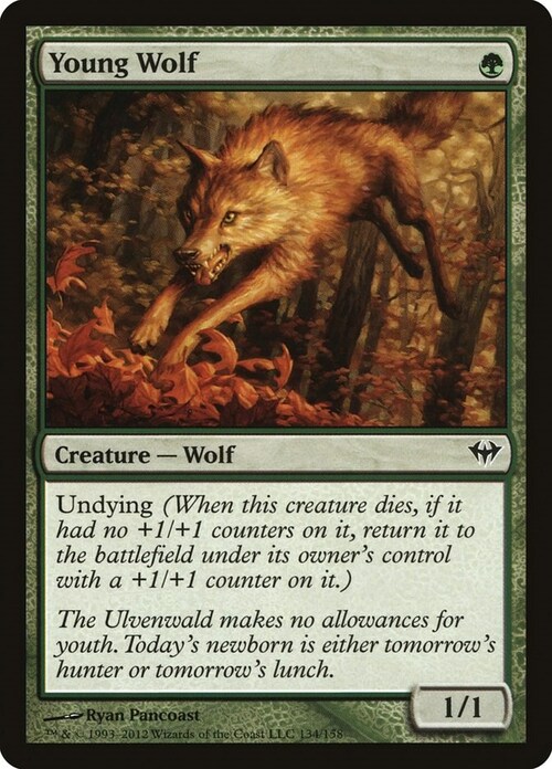 Young Wolf Card Front